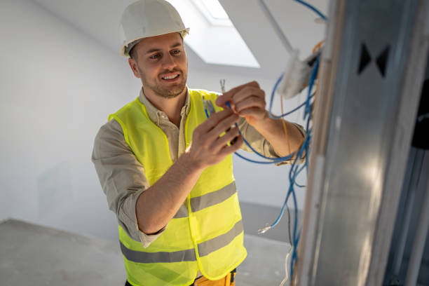 Best Electric Panel Repair  in Sturtevant, WI